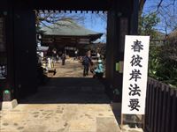 平成２８年妙法寺春彼岸